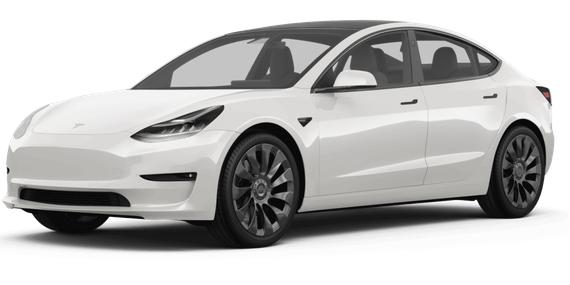 TESLA MODEL 3 2023 5YJ3E1EA0PF648892 image